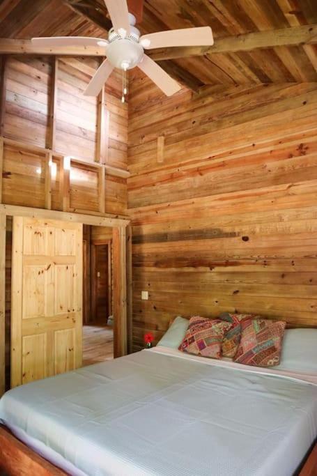 Jungle Beach 2 Bedroom Cottage Bocas del Toro Exterior photo